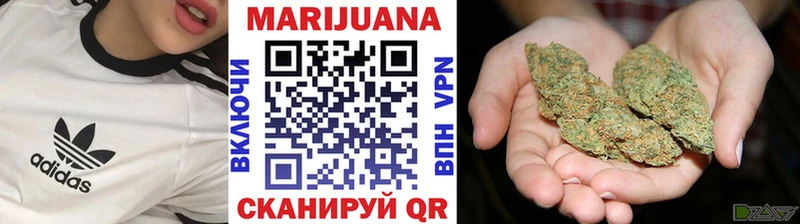 Купить наркоту Александровск Конопля БУТИРАТ Псилоцибиновые грибы блэк спрут ссылка Альфа ПВП ГАШ
