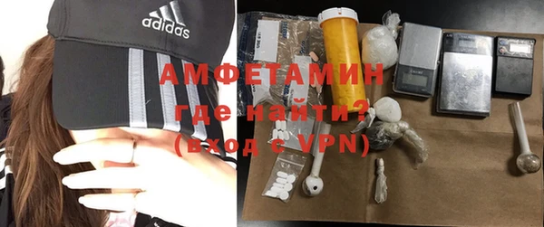 ГАЛЛЮЦИНОГЕННЫЕ ГРИБЫ Абаза